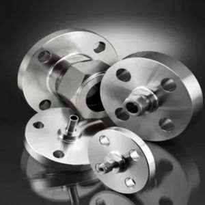 Stainless Steel Flanges